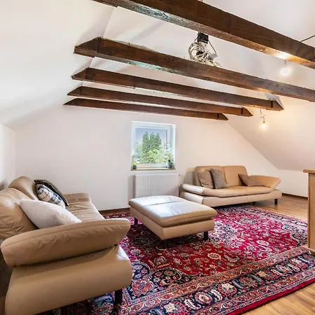 Σαλέ Loft Aψβούργη